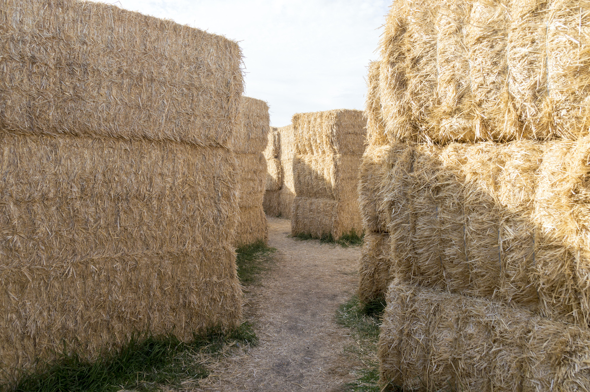 staw bale maze