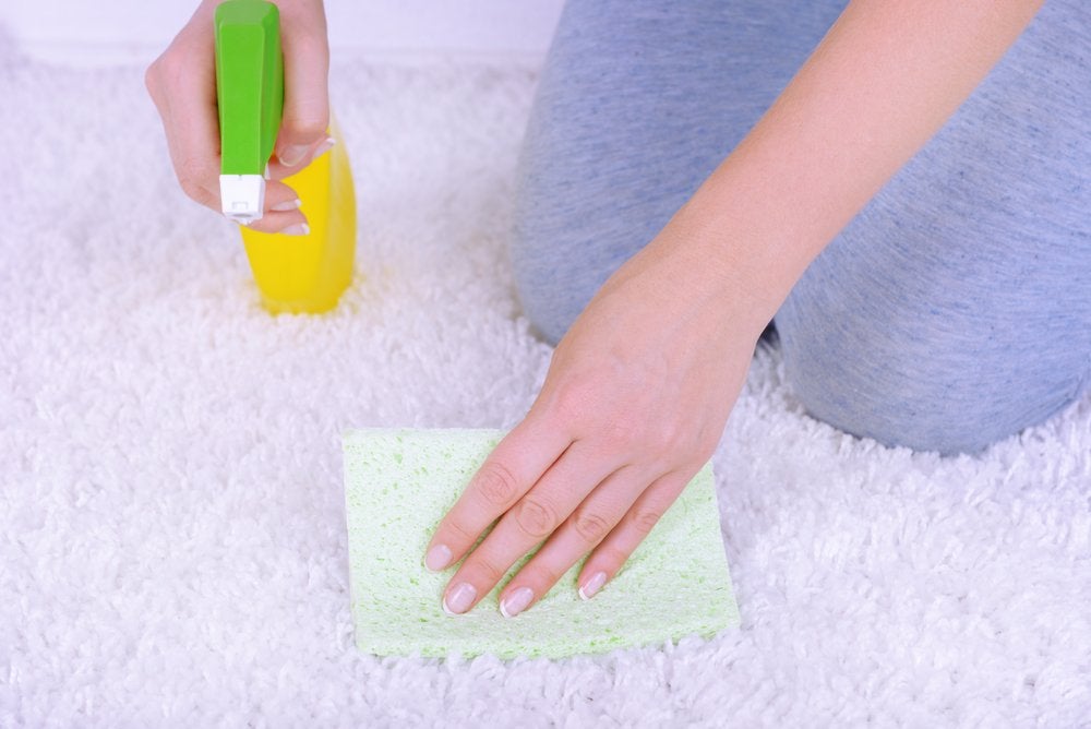 How To: Get Rid of Every Carpet Stain