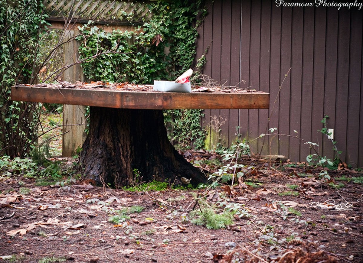 Les meilleures (et les plus étranges) choses que vous pouvez faire avec une souche d'arbre