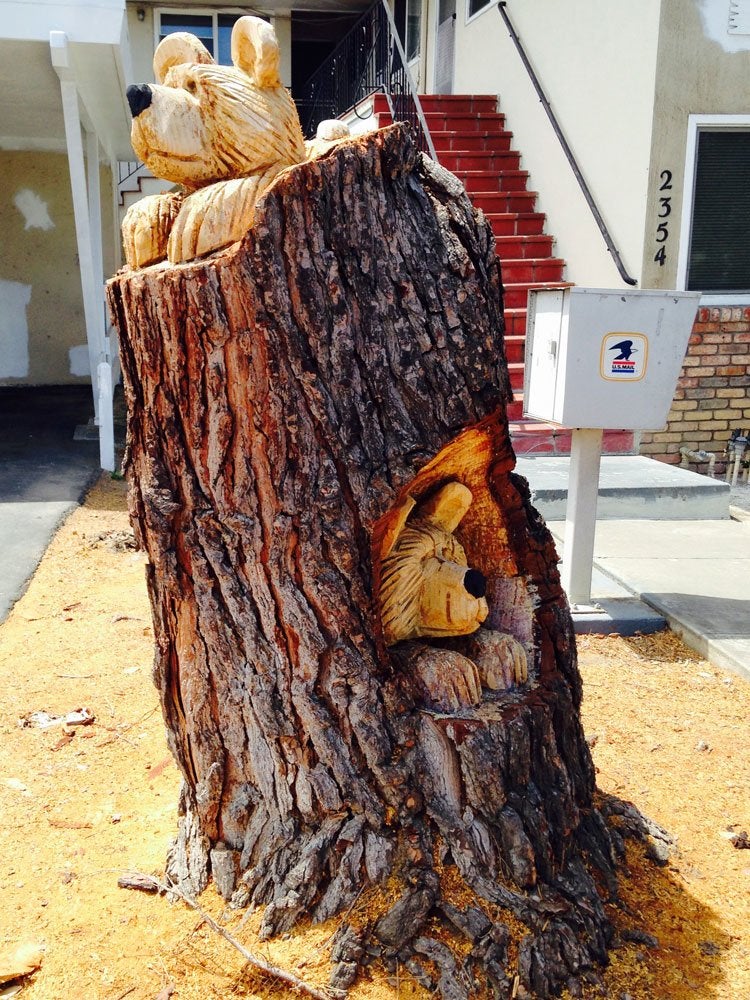 Les meilleures (et les plus étranges) choses que vous pouvez faire avec une souche d'arbre