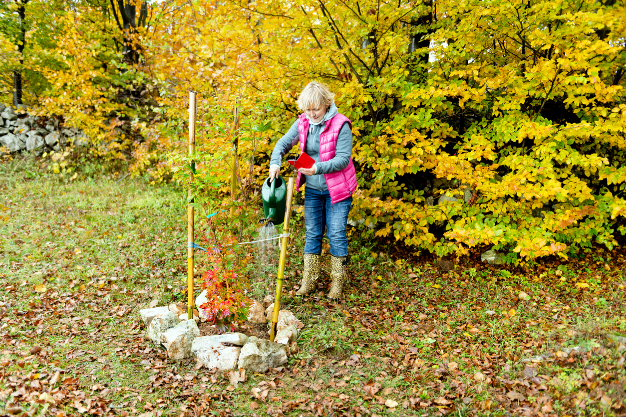 fall planting