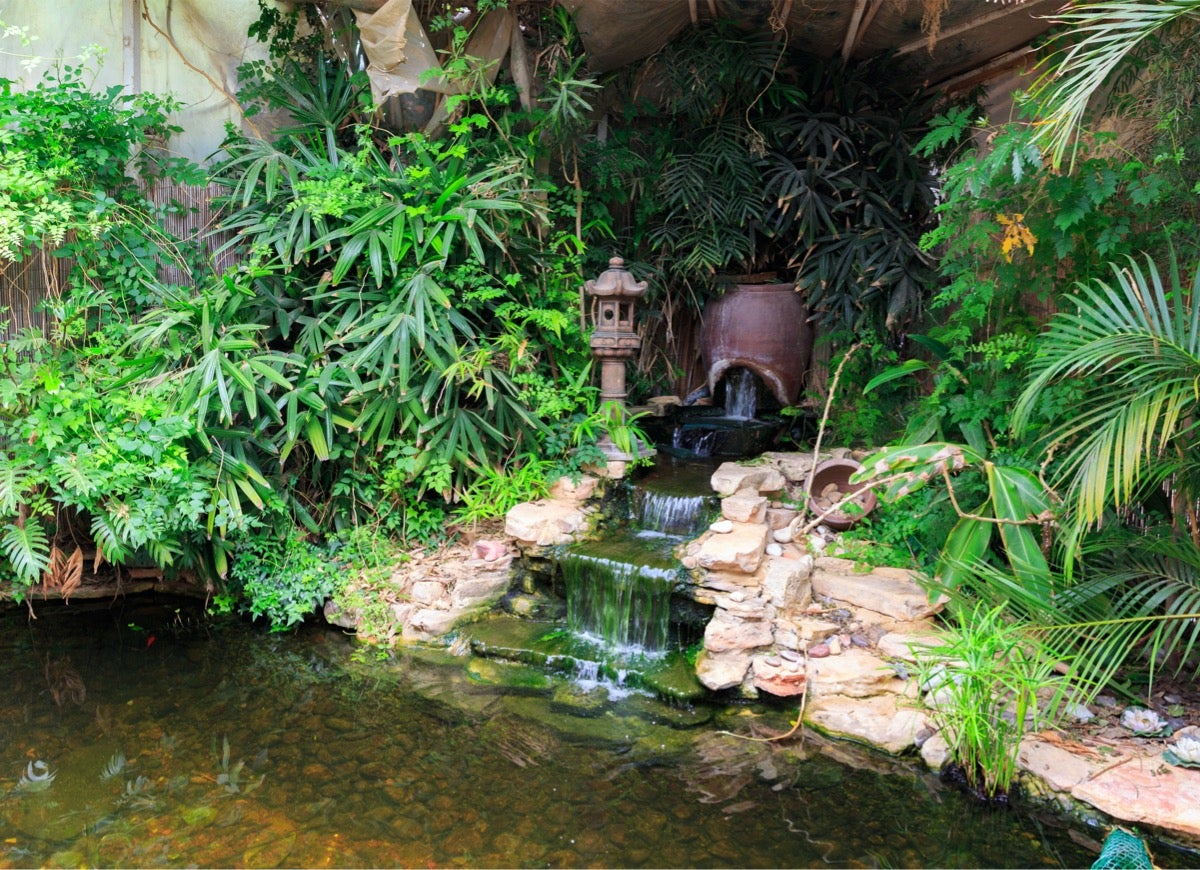 9 Relaxing Pond Waterfall Ideas for Your Backyard