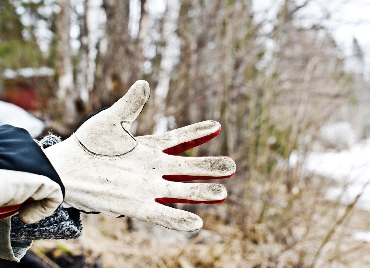 The Do’s and Don’ts of Cleaning Up Leaves