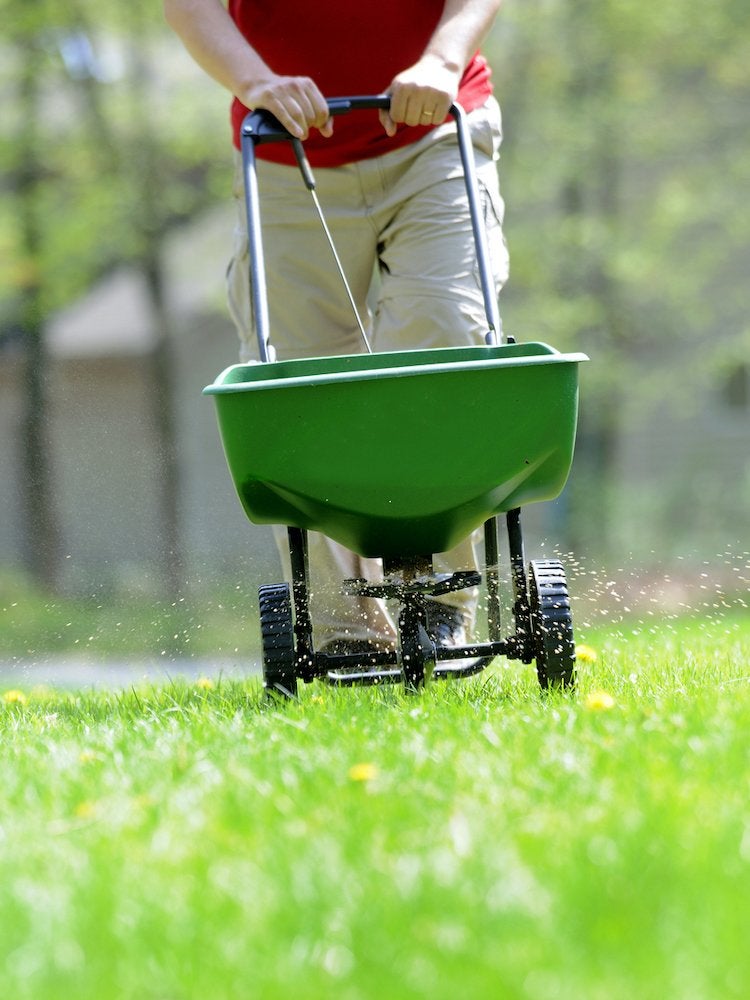 15 choses indispensables à l'entretien de la maison au printemps