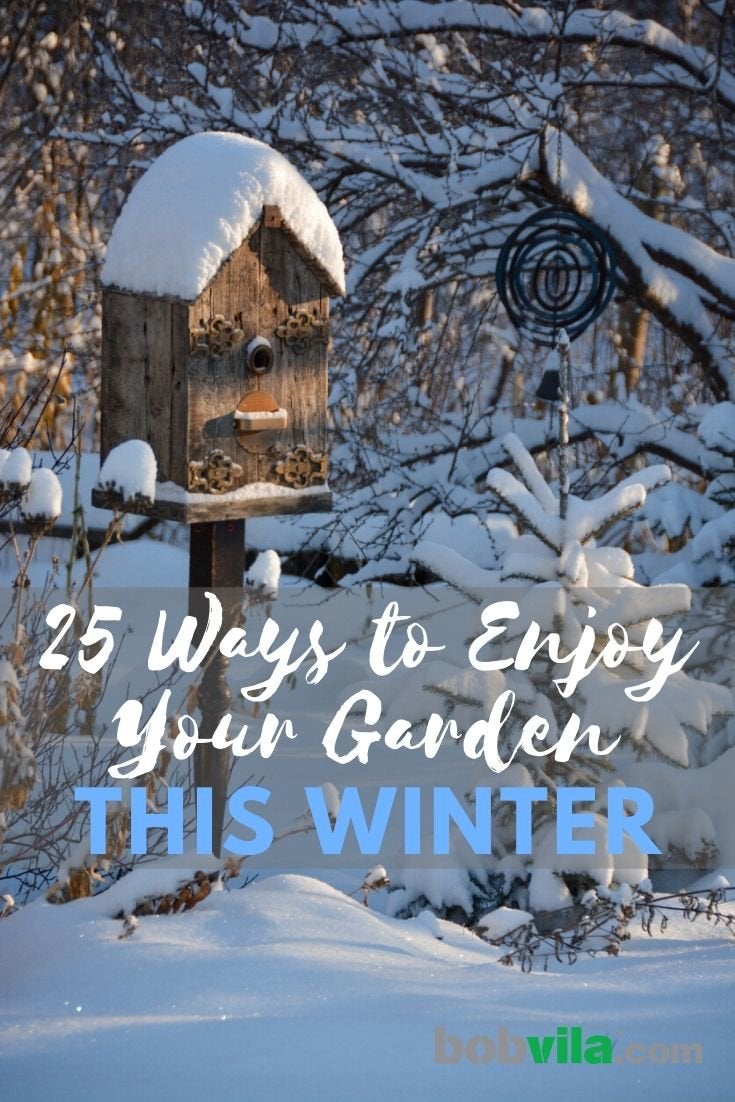 25 façons de profiter de votre jardin cet hiver