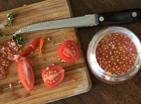 saving tomato seeds for planting