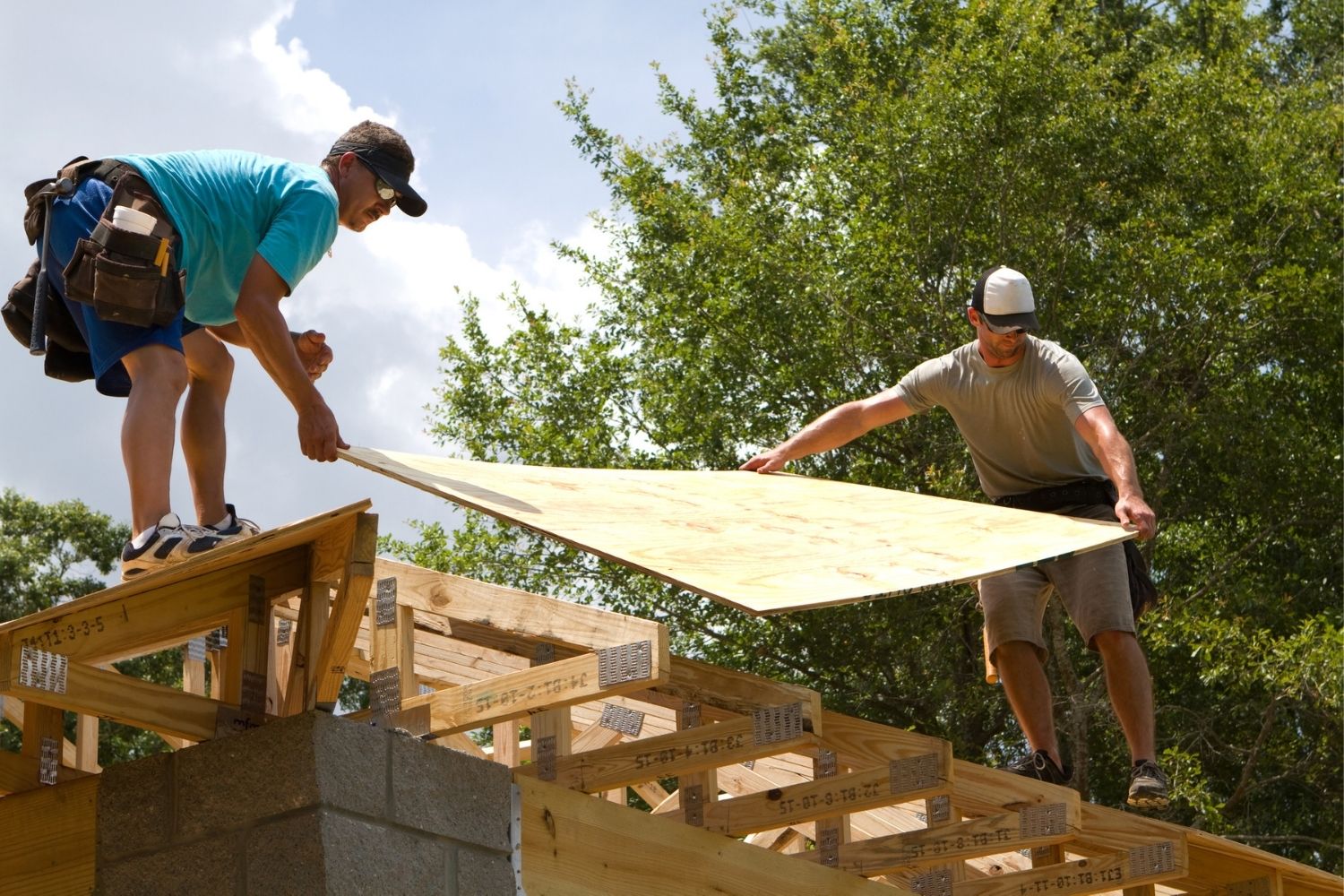 Roof Sheathing