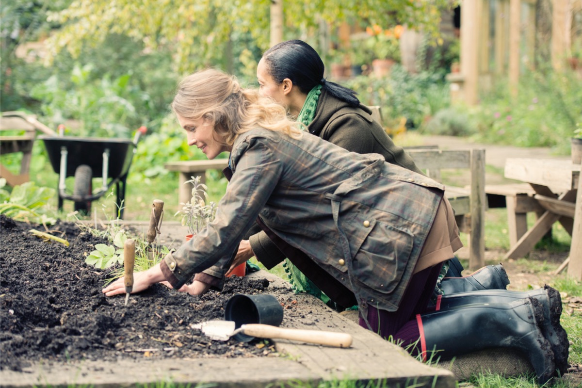 green thumb side hustle