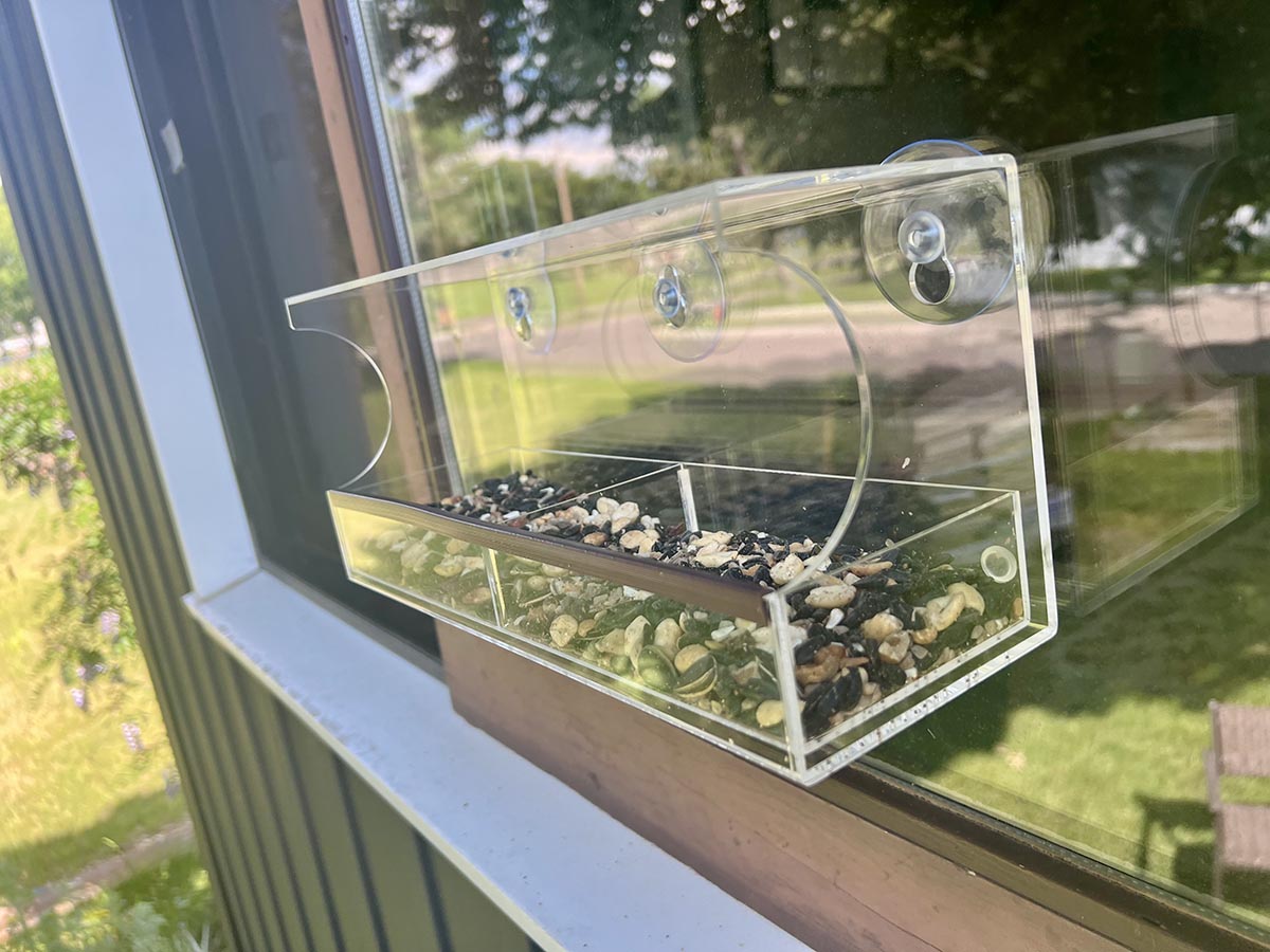 Nature’s Hangout Window Bird Feeder filled with bird seed and stuck to window in summer