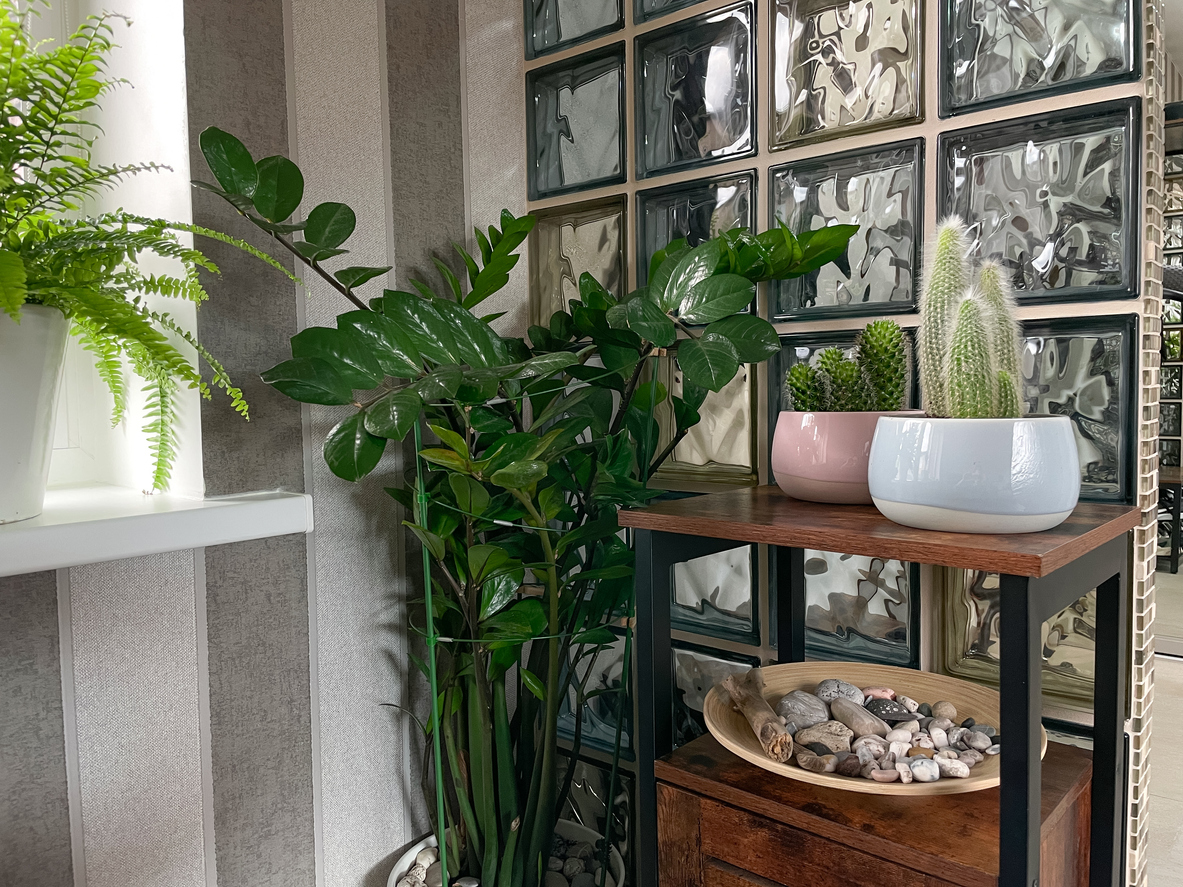 interior with glass block windows and plants