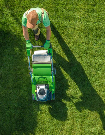 Lawn Mowing Service Near Me Cost