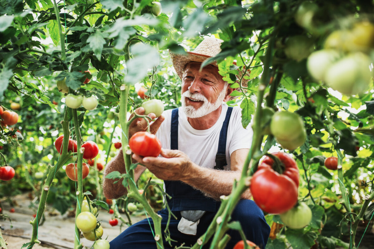 What Kind of Gardener Are You?