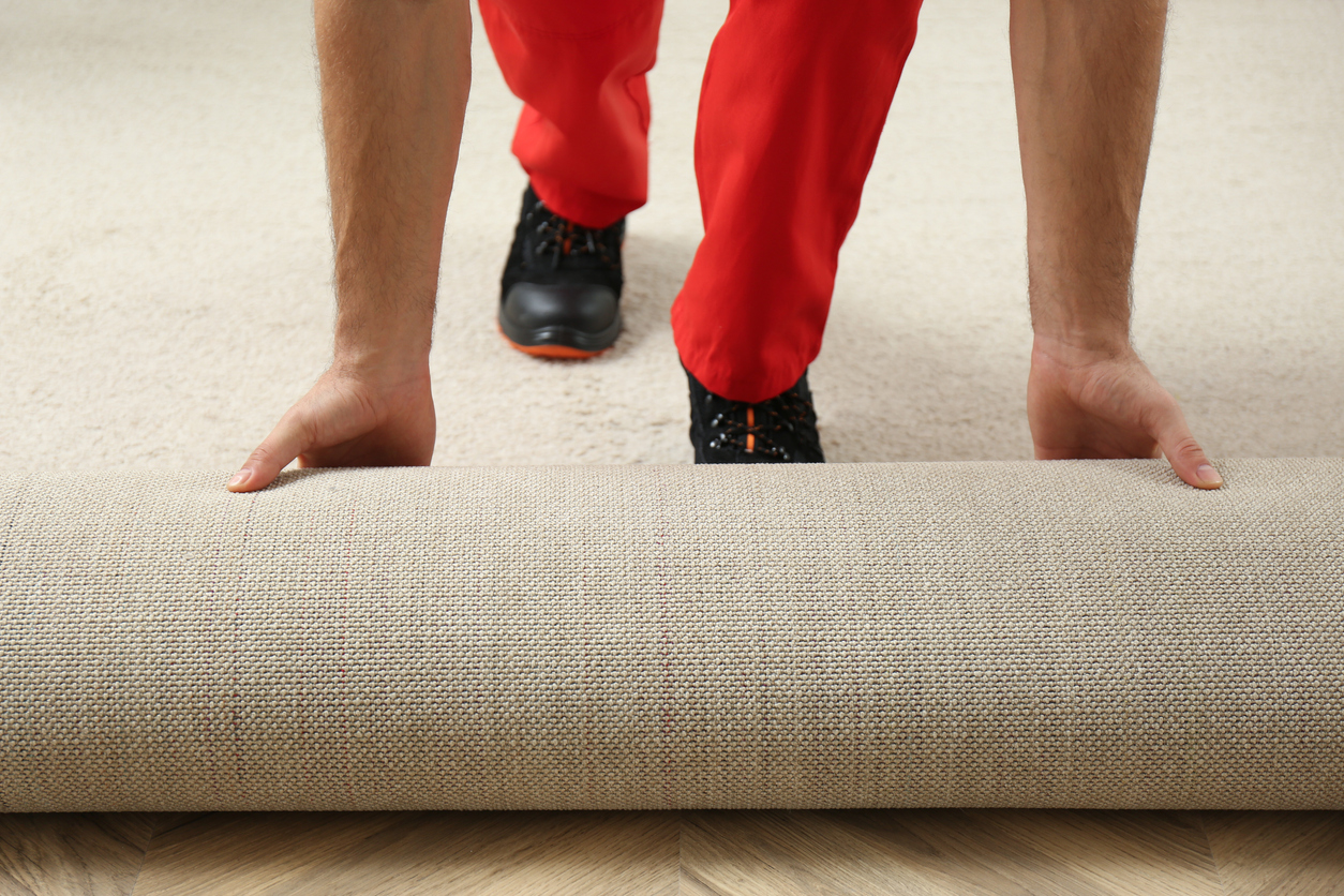 Pose d'une nouvelle moquette sur un sol en bois dur