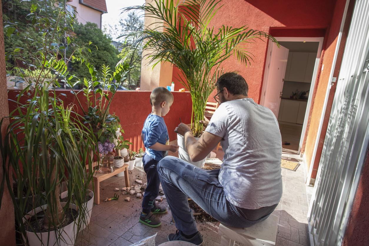 iStock-1239428069 houseplant plants on balcony