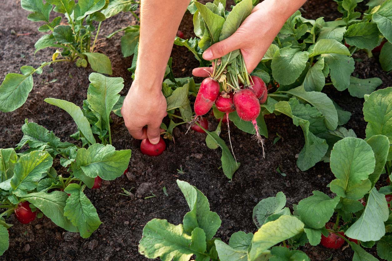 Fermeture de votre jardin d'été