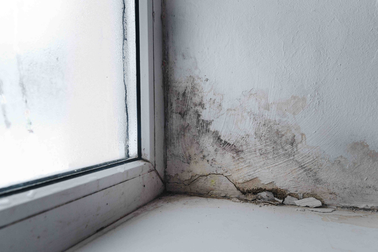 fissure dans le mur du sous-sol