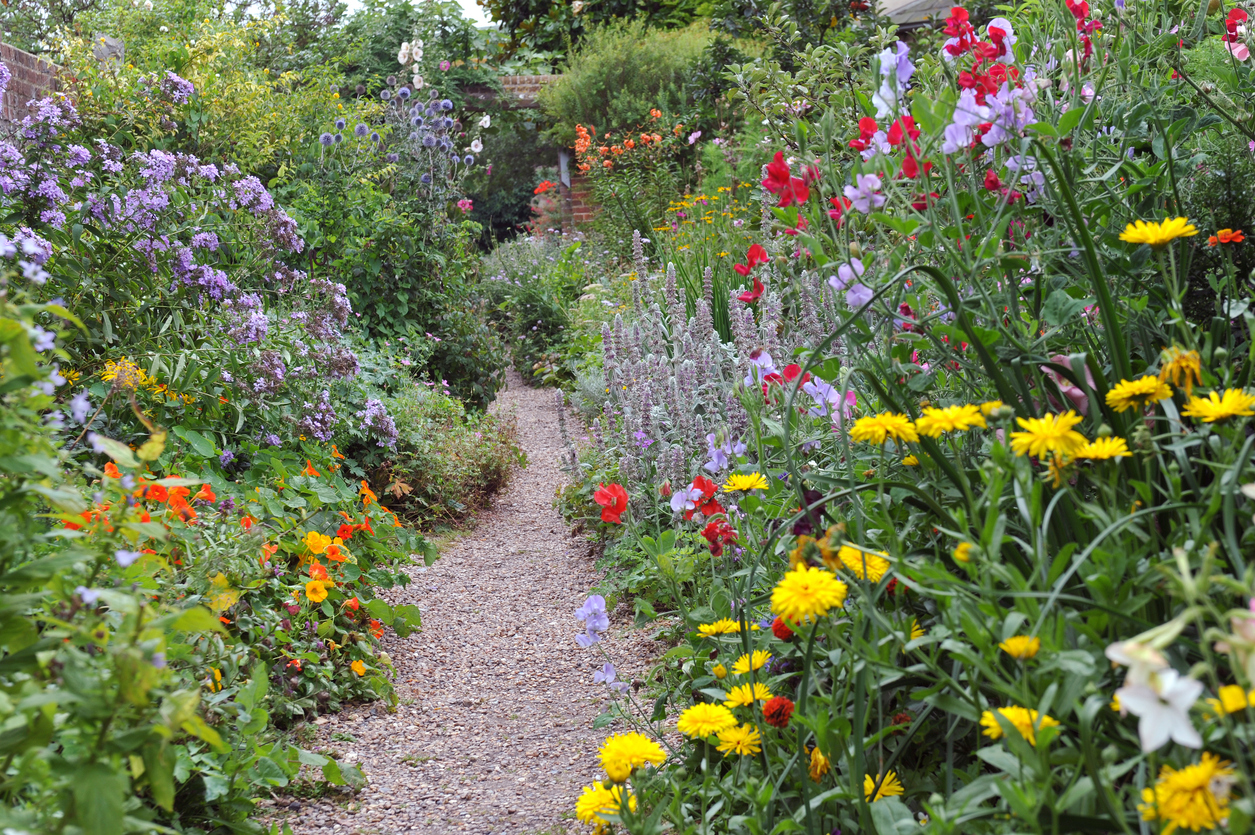 Woodland garden