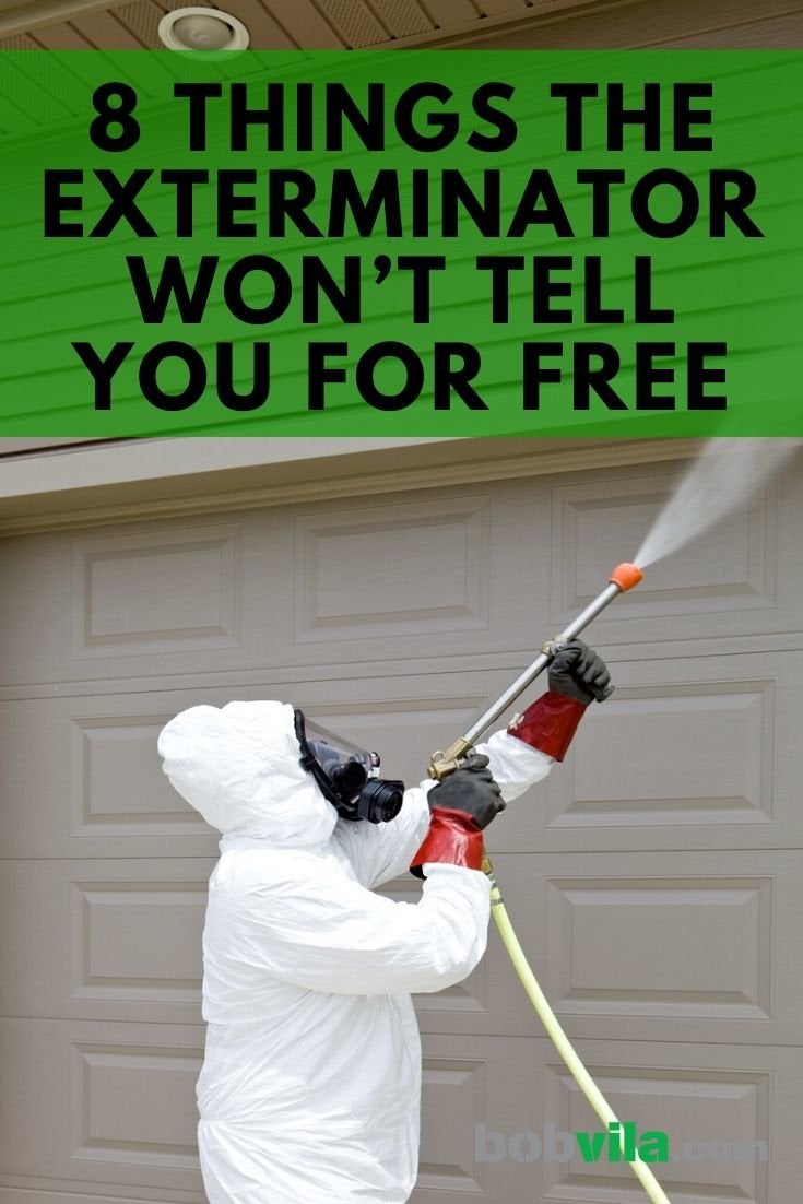 8 Things the Exterminator Won’t Tell You for Free