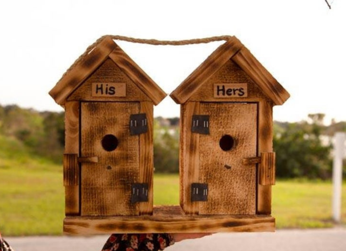 24 Cool and Unique Birdhouse Ideas for Your Yard