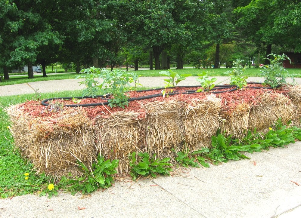 19 “Zero Dollar” Garden Hacks