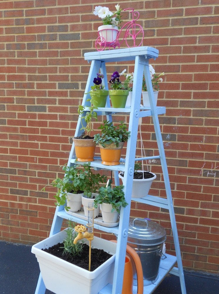 Growing Up: 14 Inventive DIY Vertical Gardens