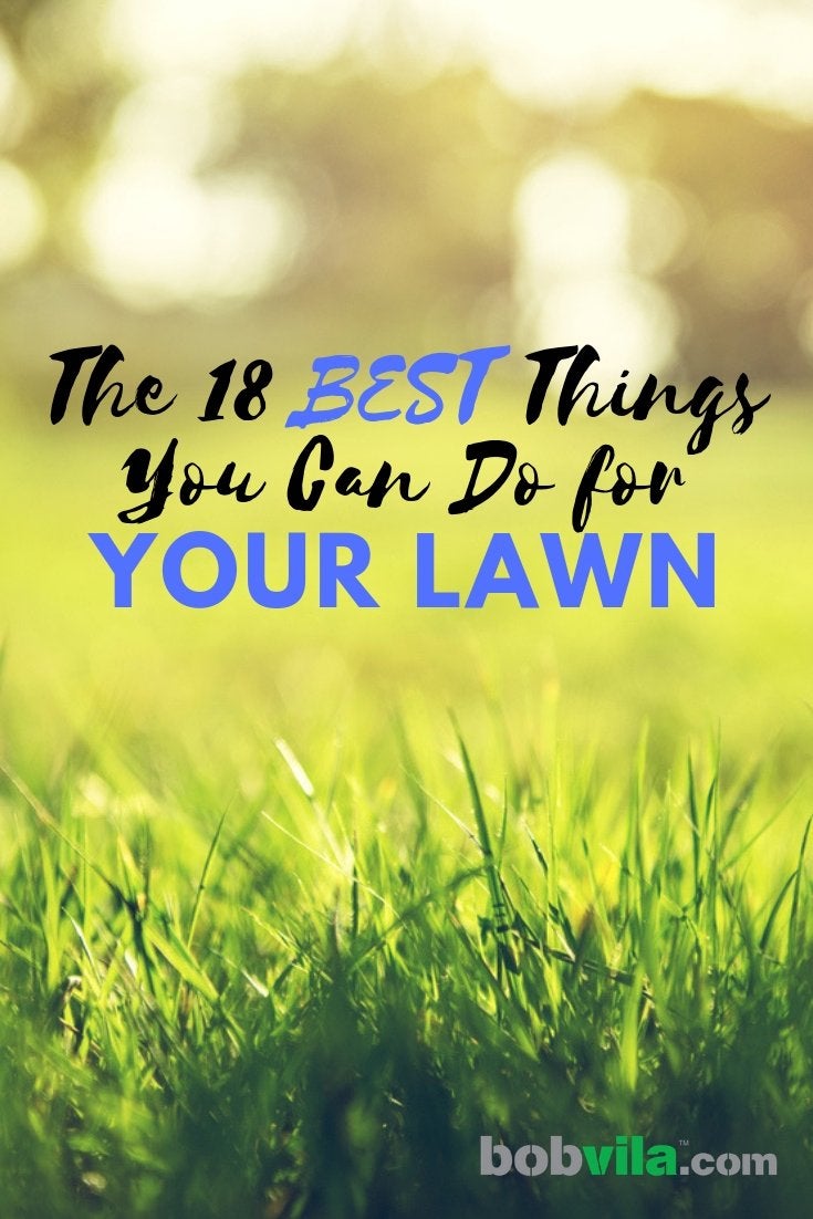 The Best Things You Can Do for Your Lawn