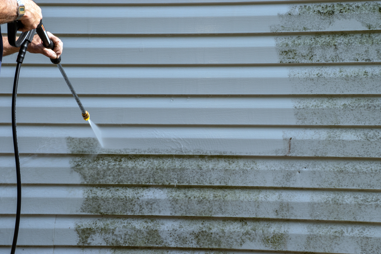 The vinyl siding is molded and slimy but a good power washing takes care of the problem nicely.