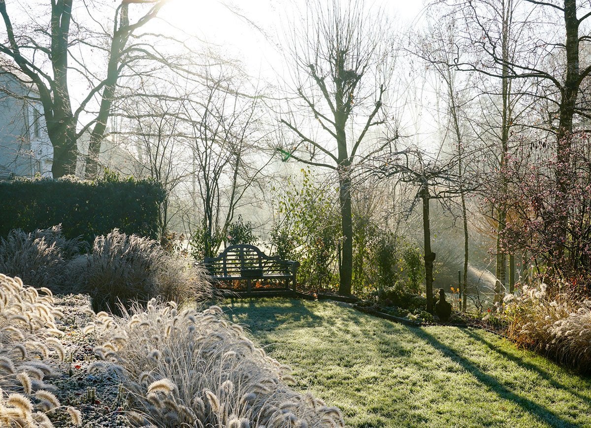 10 Landscaping Must-Dos to Help Your Plants Survive the Winter