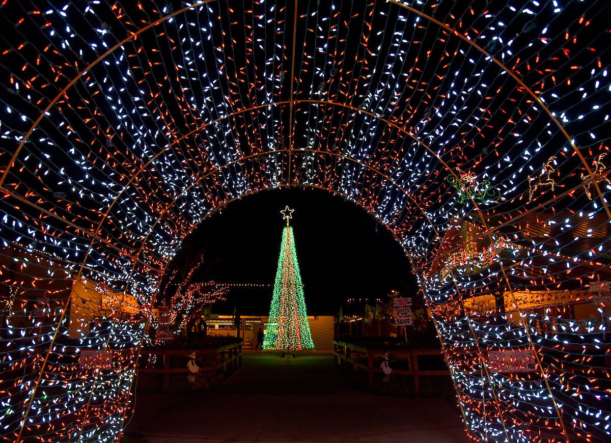 The Best Drive-Through Christmas Light Displays in America