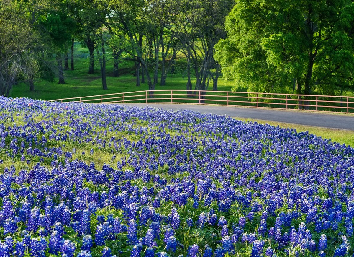 20 Places You Need to See If You Love Plants