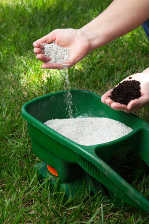 Types of Fertilizer Every Gardener Should Know