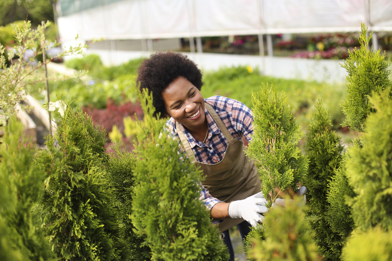 Mid adult florist working in a plant nursery. About 35 years old, African female.