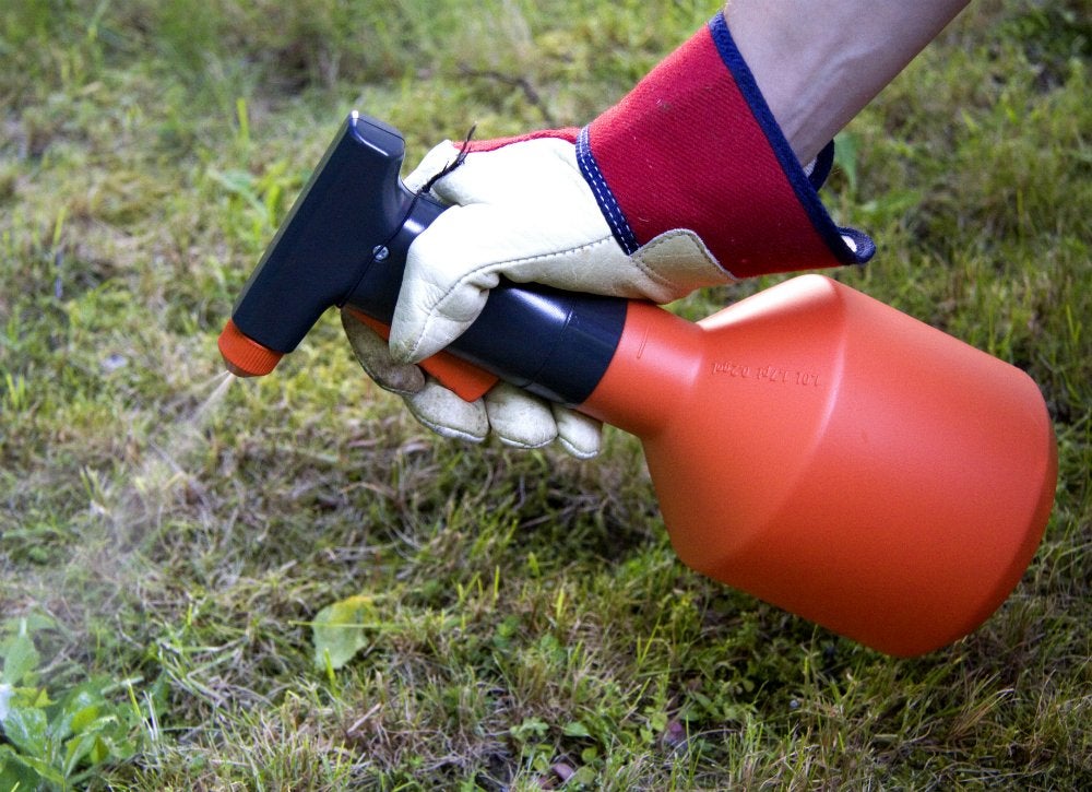 7 Weirdly Effective Ways to Weed