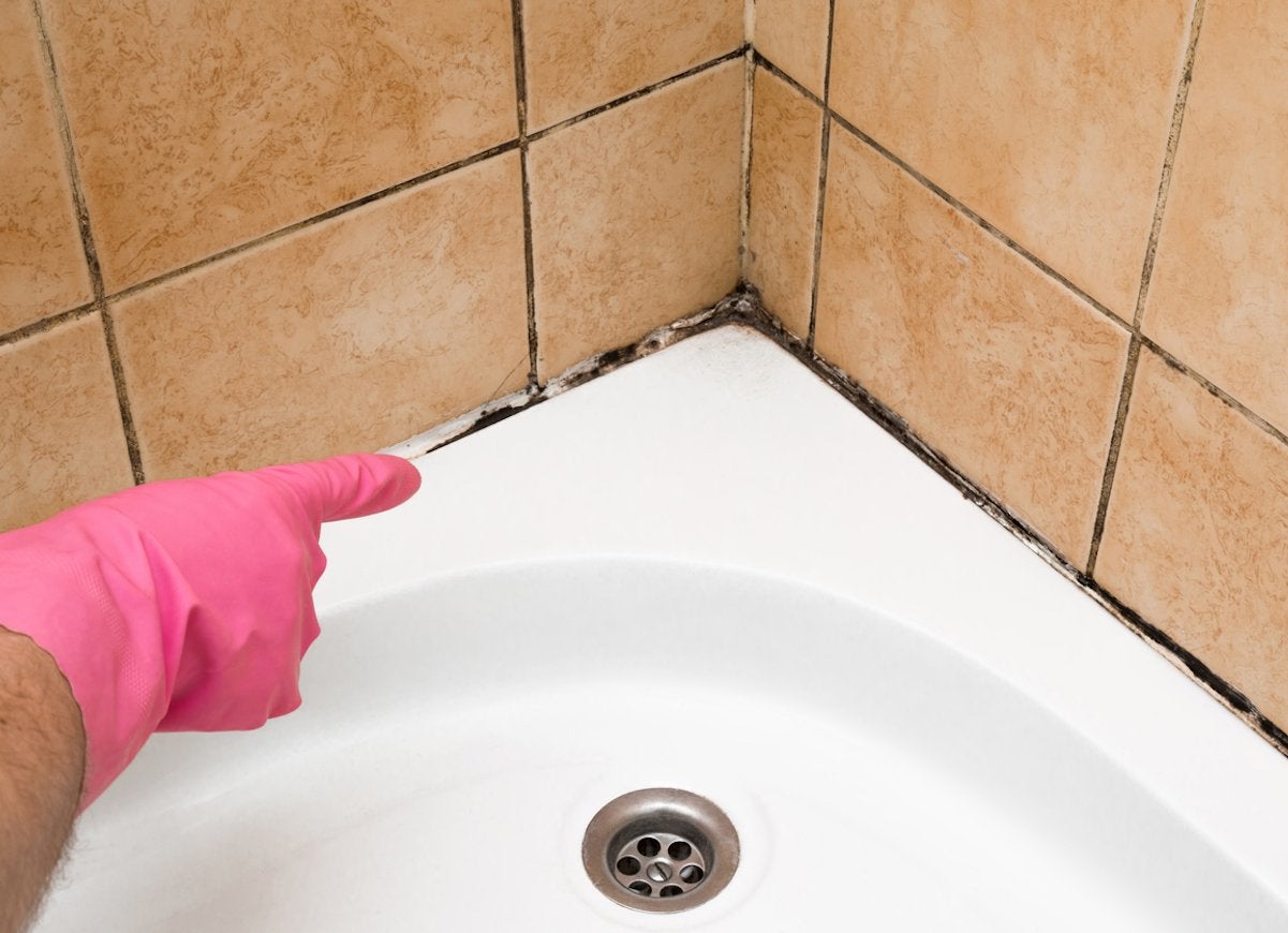 The Dark, Dirty Truth About Household Mold (And How to Rid Yourself of It)