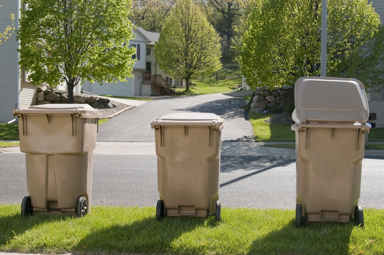 trois poubelles brunes vides au bord de la pelouse dans une rue résidentielle