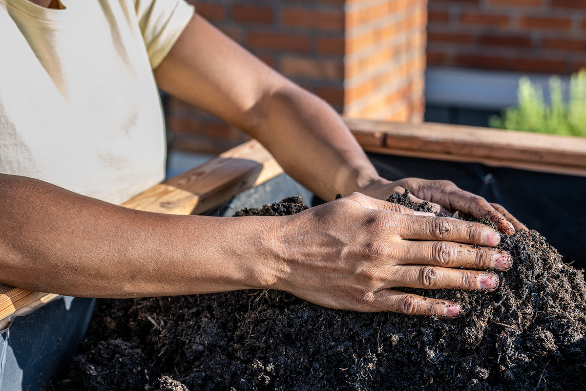 Comment cultiver un jardin sans motoculteur - passez aux plates-bandes surélevées