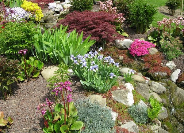 Jardin de rocaille sur une cour arrière en pente