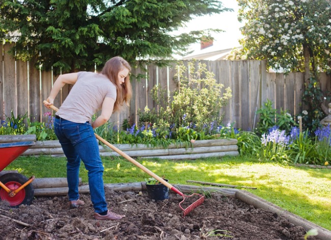 7 Things to Know When Growing a Wildflower Garden