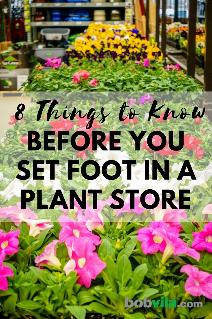 8 choses à savoir avant de mettre les pieds dans un magasin de plantes