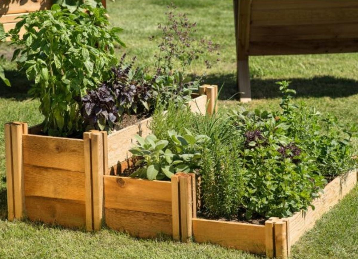 13 Ideas for a Vegetable Garden With Serious Curb Appeal