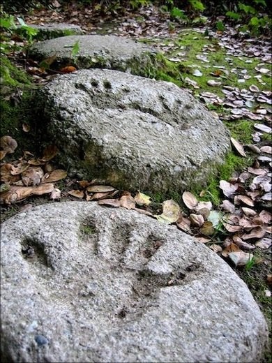 10 DIY Step Stones to Brighten Any Garden Walk