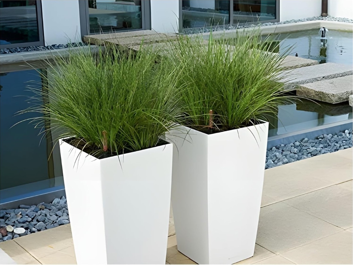 Two tall white planters with ornamental grasses.