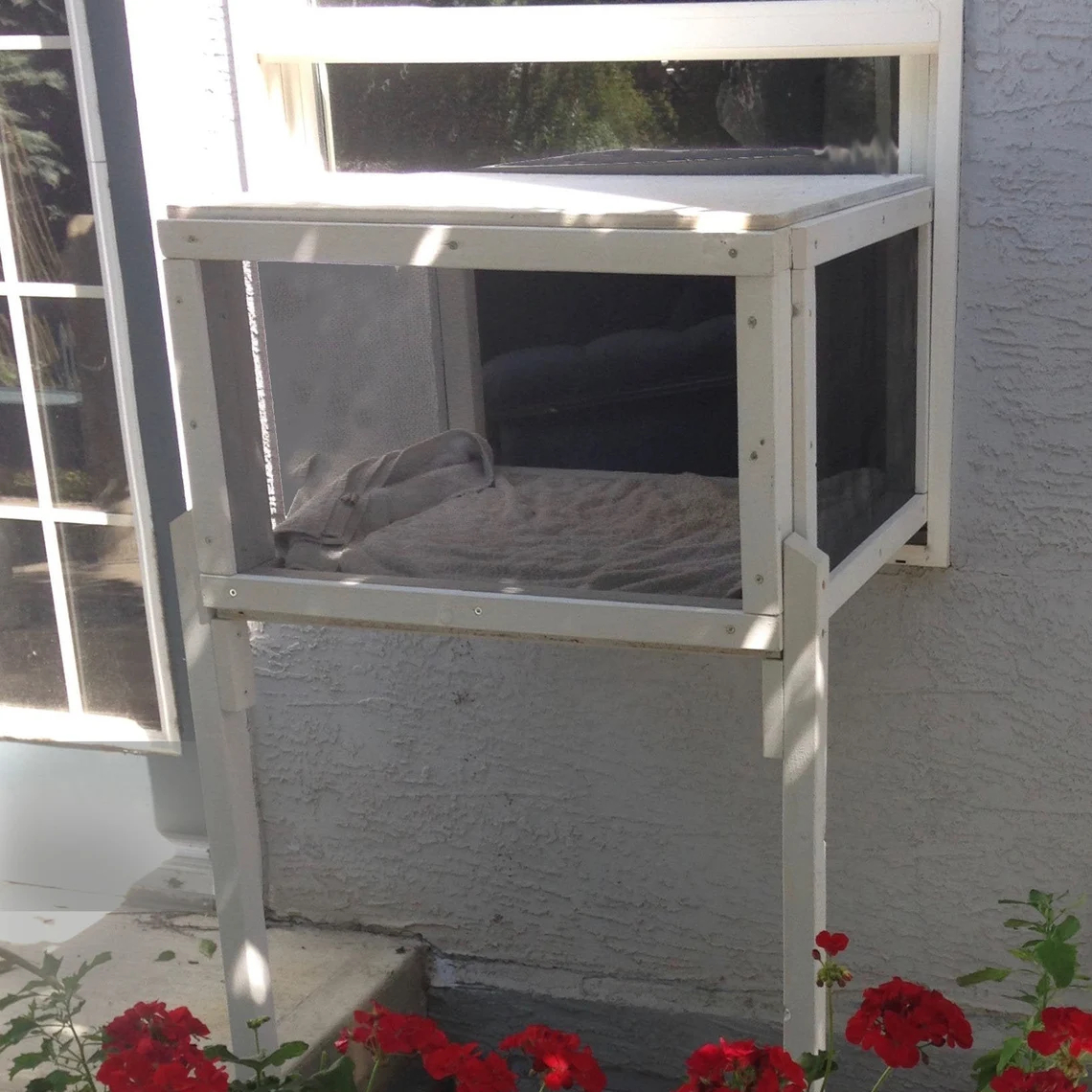 A simple white window catio sits in front of a blooming rose bush.