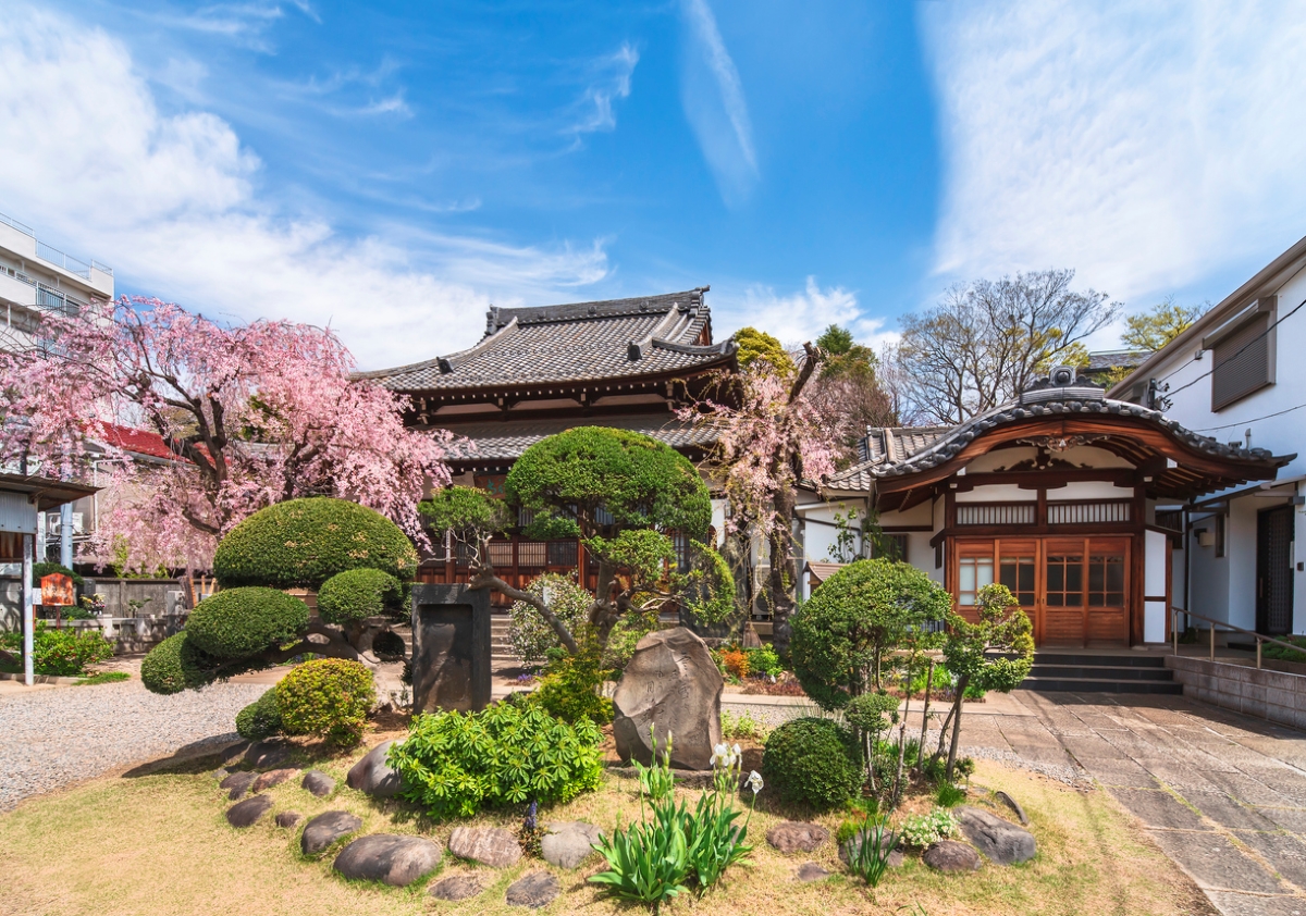 idées de jardin zen - jardin d'arbres taillés japonais