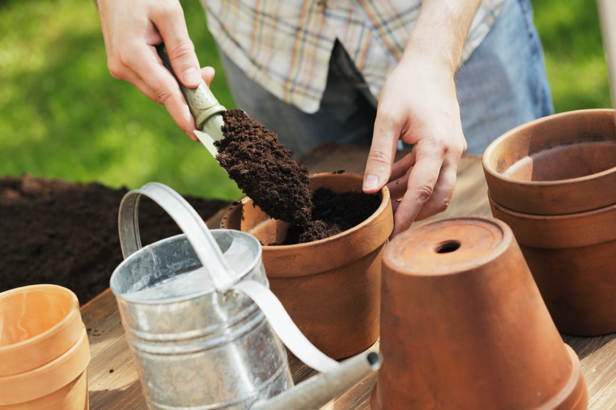 garden soil vs potting soil