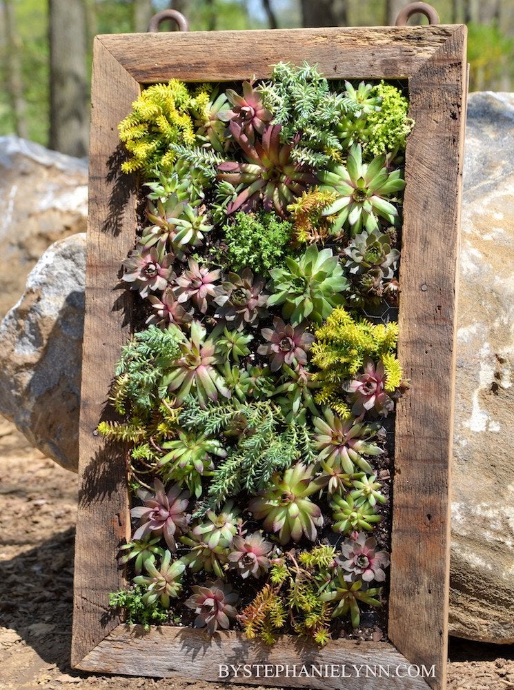 Growing Up: 14 Inventive DIY Vertical Gardens