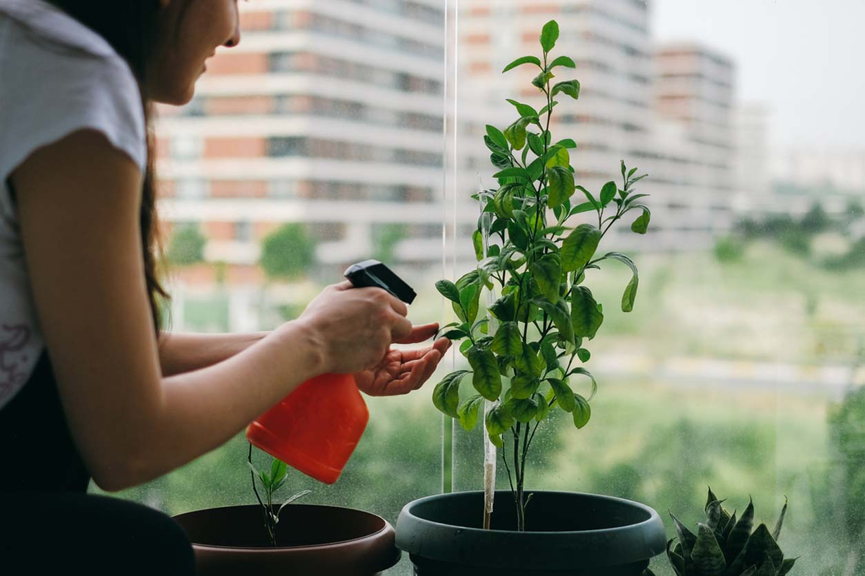 Garden Window Cost