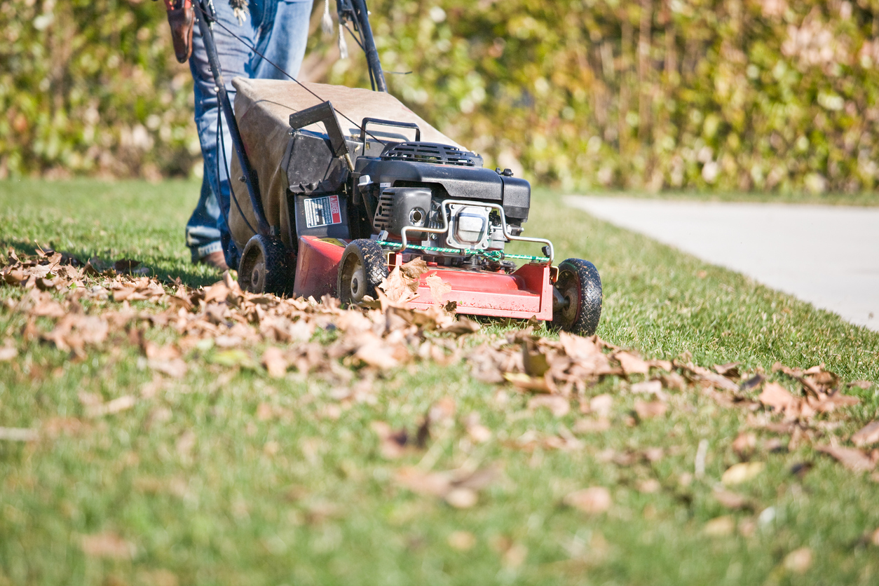 Person wearing jeans runs a lawn mower over a leaf-covered yard.