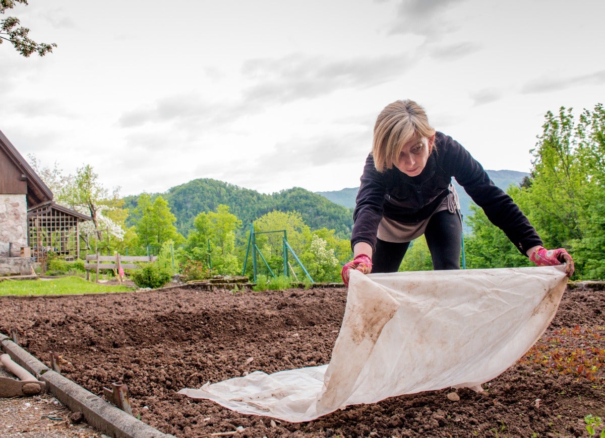 15 Things to Do in the Yard Before the First Frost