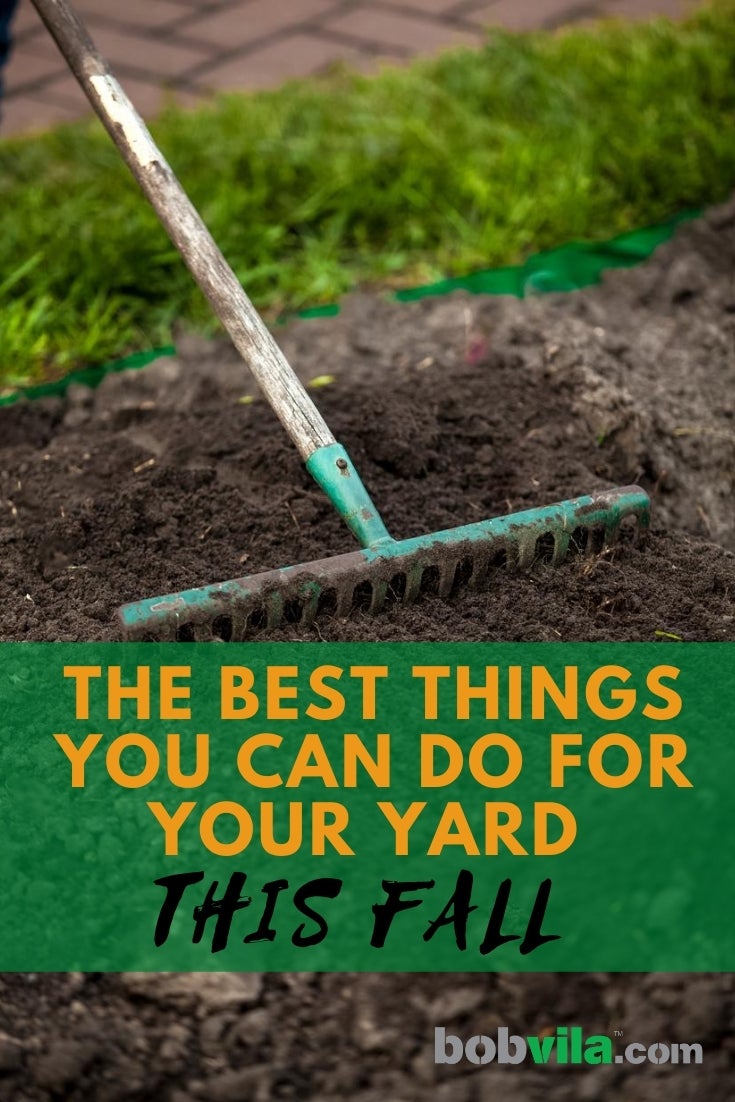 The Best Things You Can Do for Your Yard This Fall